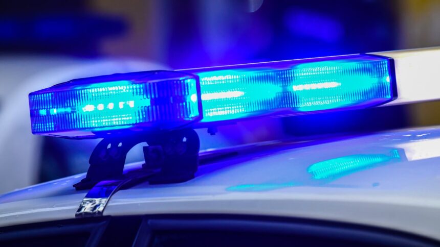 Sydney E. Andersen, Aaliyah M. Martin Obituary, Death