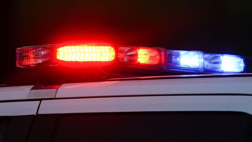 Frankie Navarro Obituary, Death