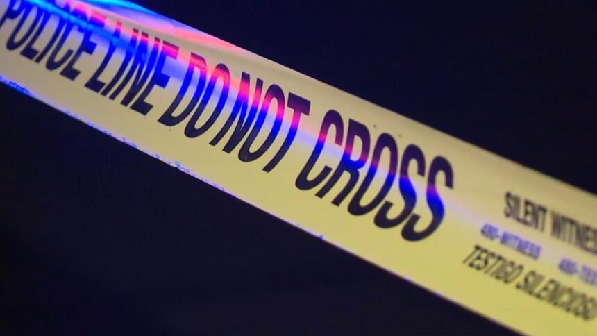 José Raul Roque Obituary, Death