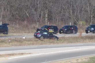 Travis Shippy Car Accident