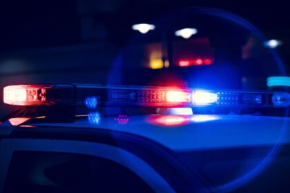 Meaza Brown Obituary, Death