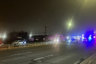 Shannon Joy Lamb, Fort Wayne, Car Accident