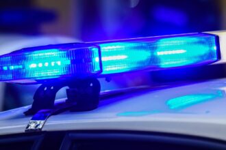 Cynthia Chavez Hernandez, Pharr, Car Accident