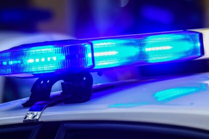 Cynthia Chavez Hernandez, Pharr, Car Accident