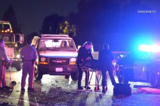 Marely Ariana Fragoso Herrera Obituary, Death