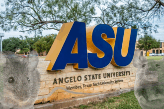 Robert King Obituary, Tribute News